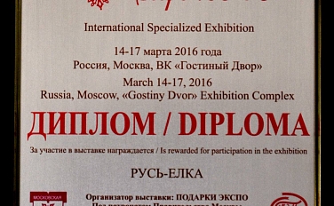 Диплом весна 2016 (2)