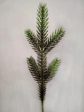 Название картинки