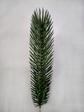 Название картинки