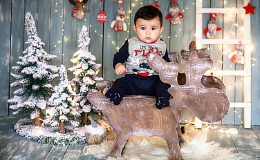 Композиции «Русский лес»